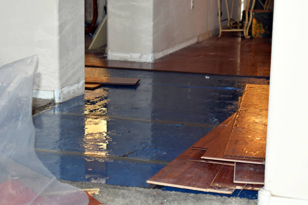 Professional Burst Pipe Cleanup technician working in Klamath, CA